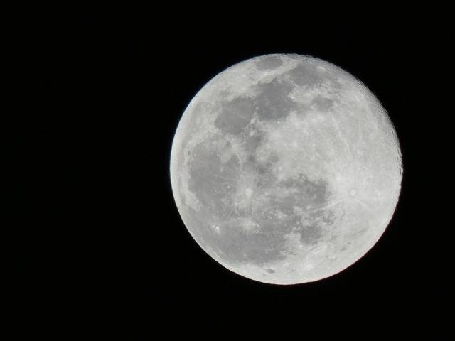 サードアップ便り2月号