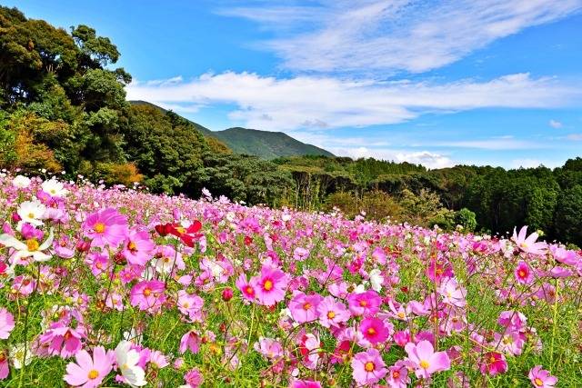 防災の日です